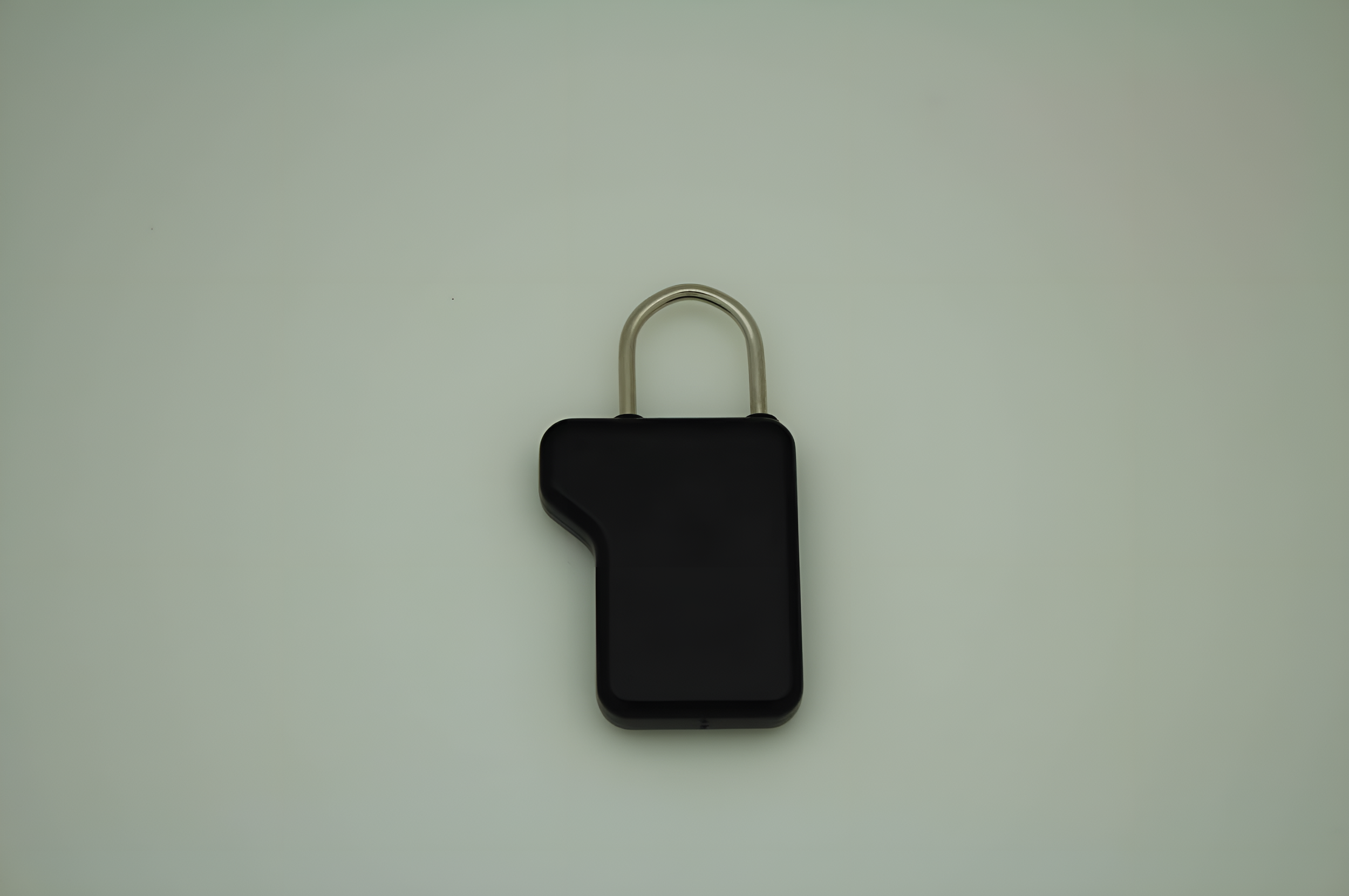 Luggage Tag-250418-5.png