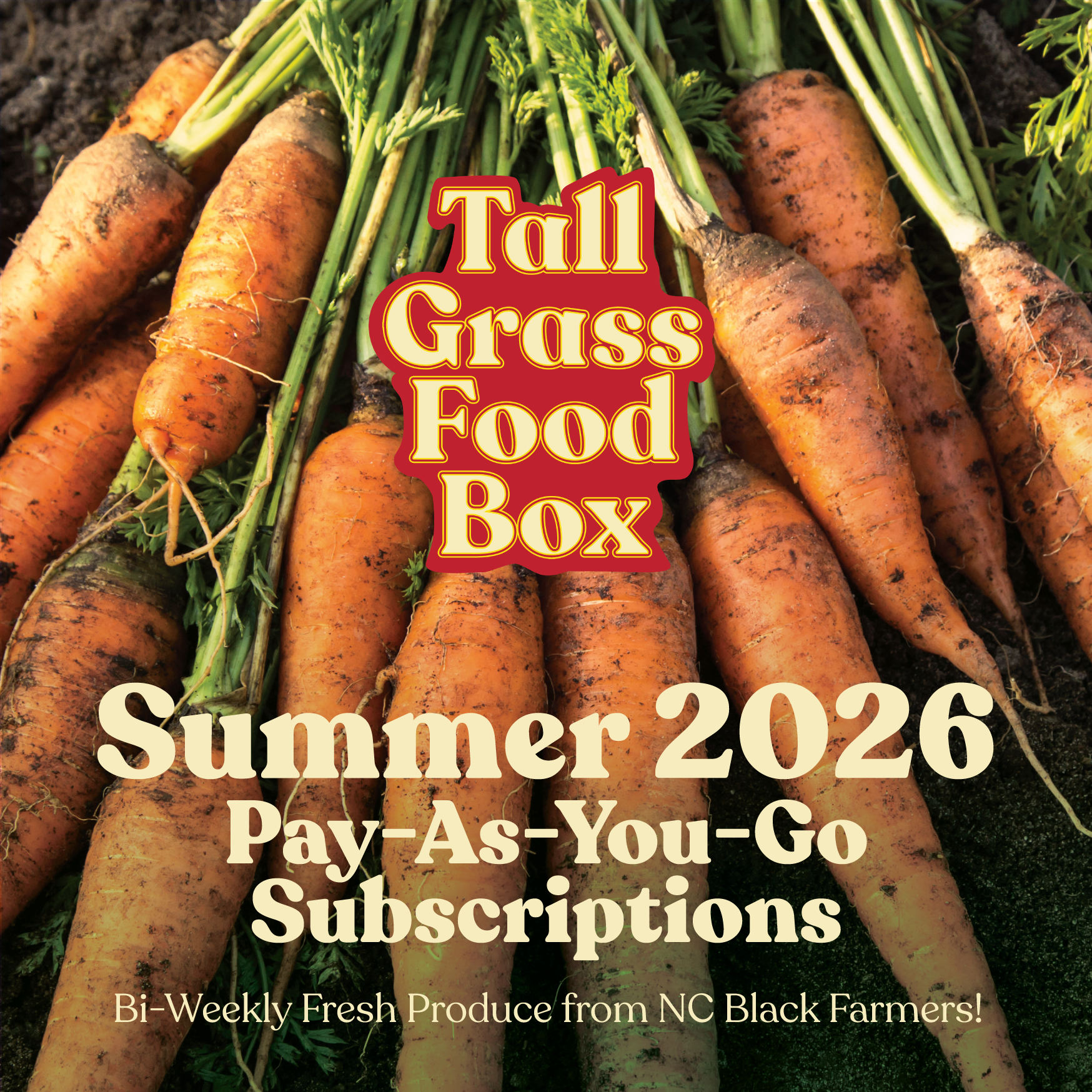 summer-26-pay-as-you-go.png