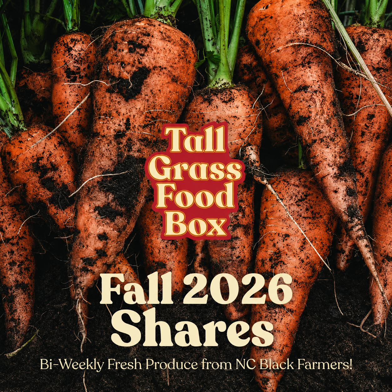 Fall 2026.png
