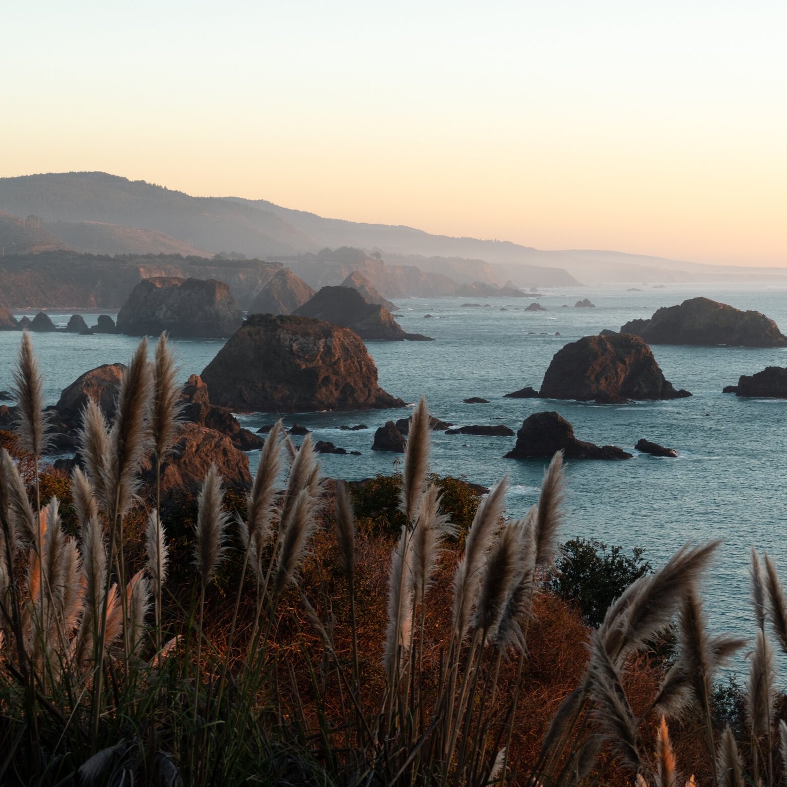 NorCal PCH