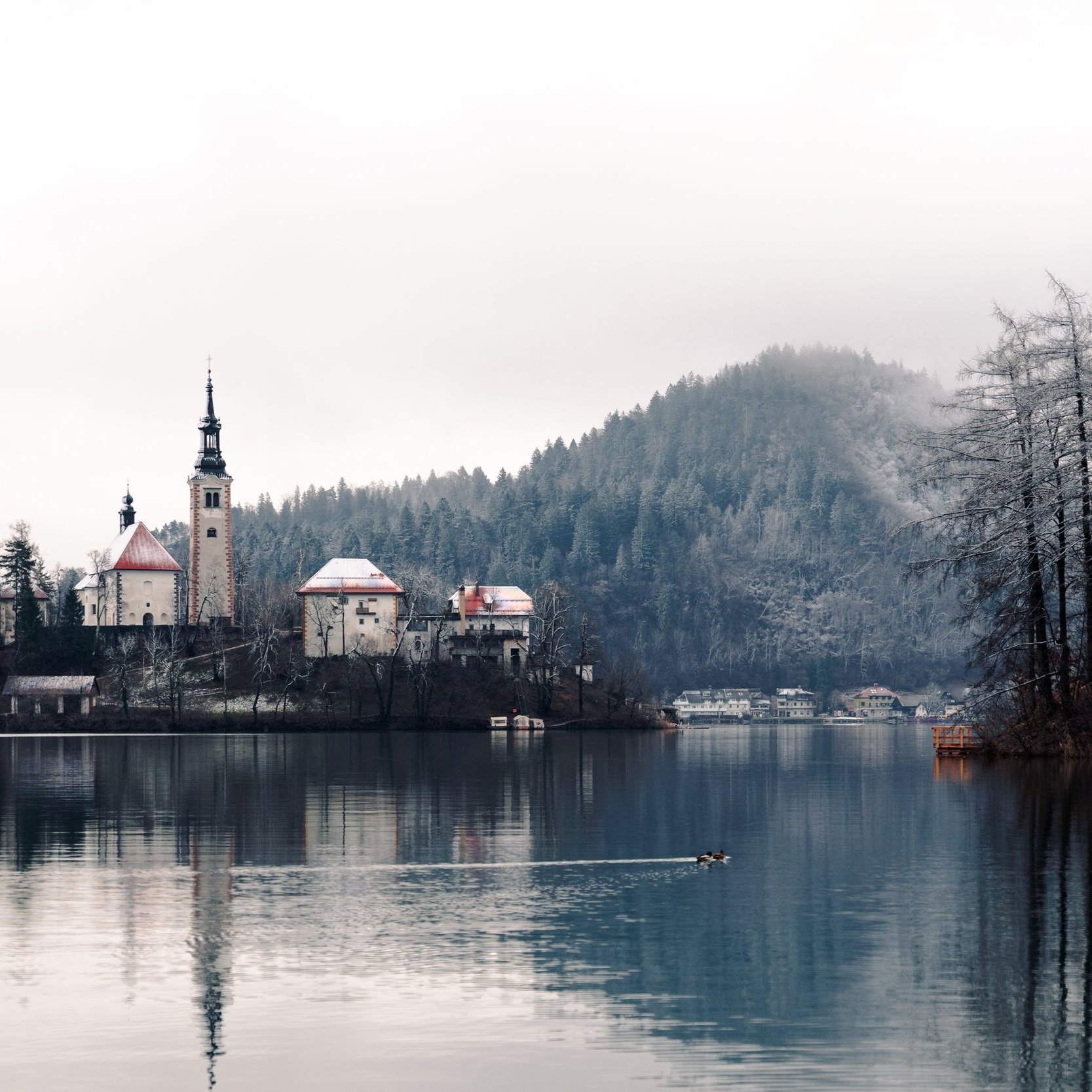 Bled