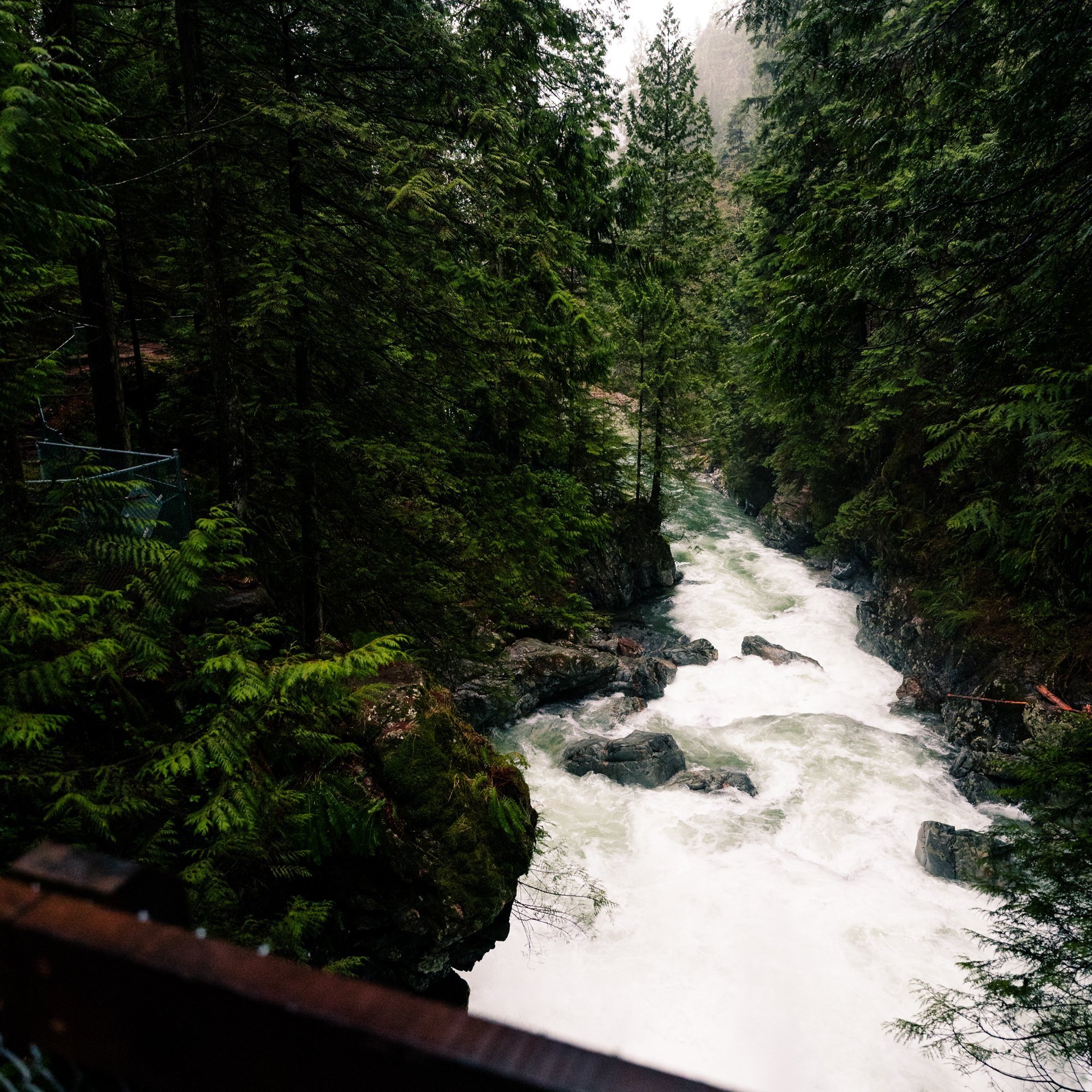 Lynn Canyon