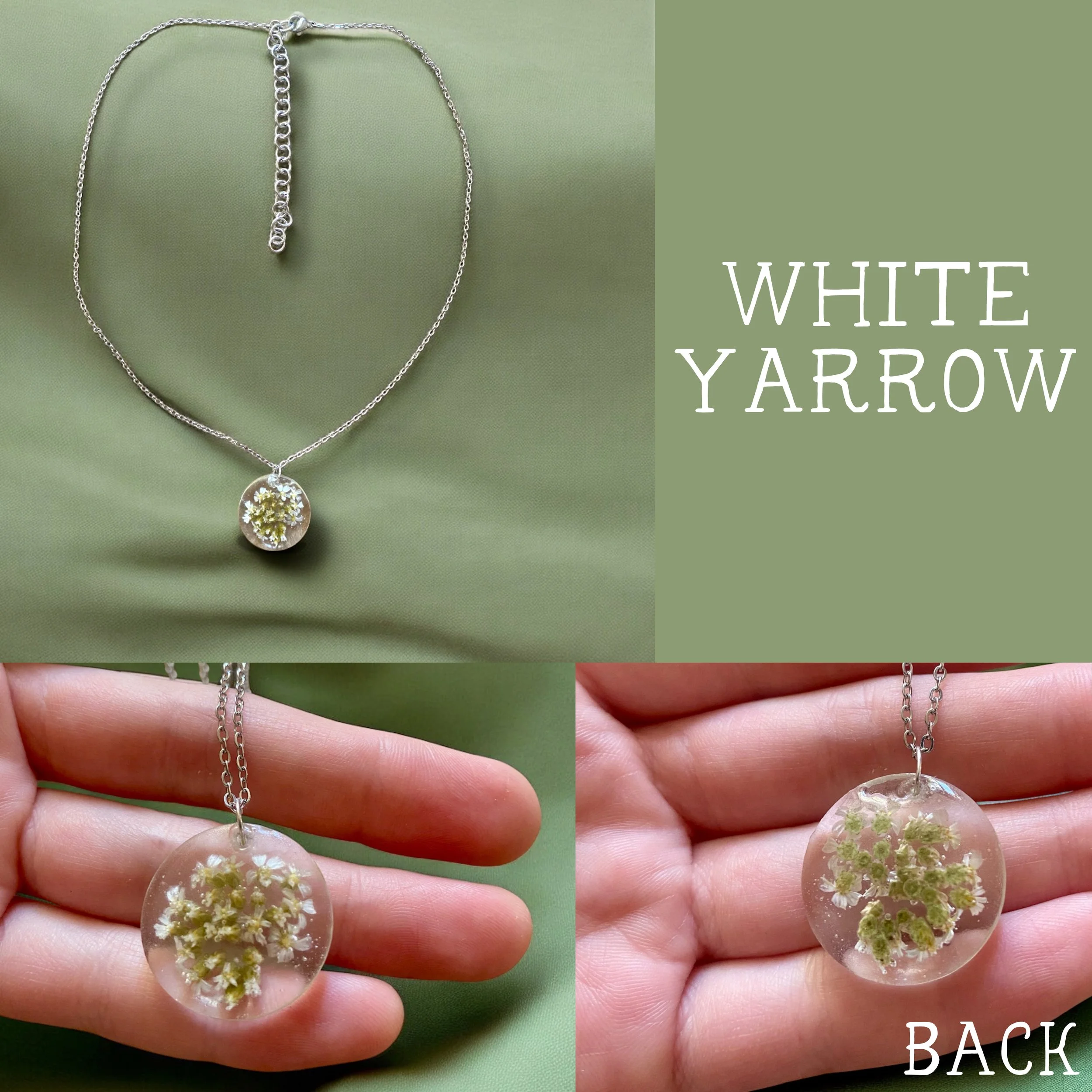 yarrow.jpg