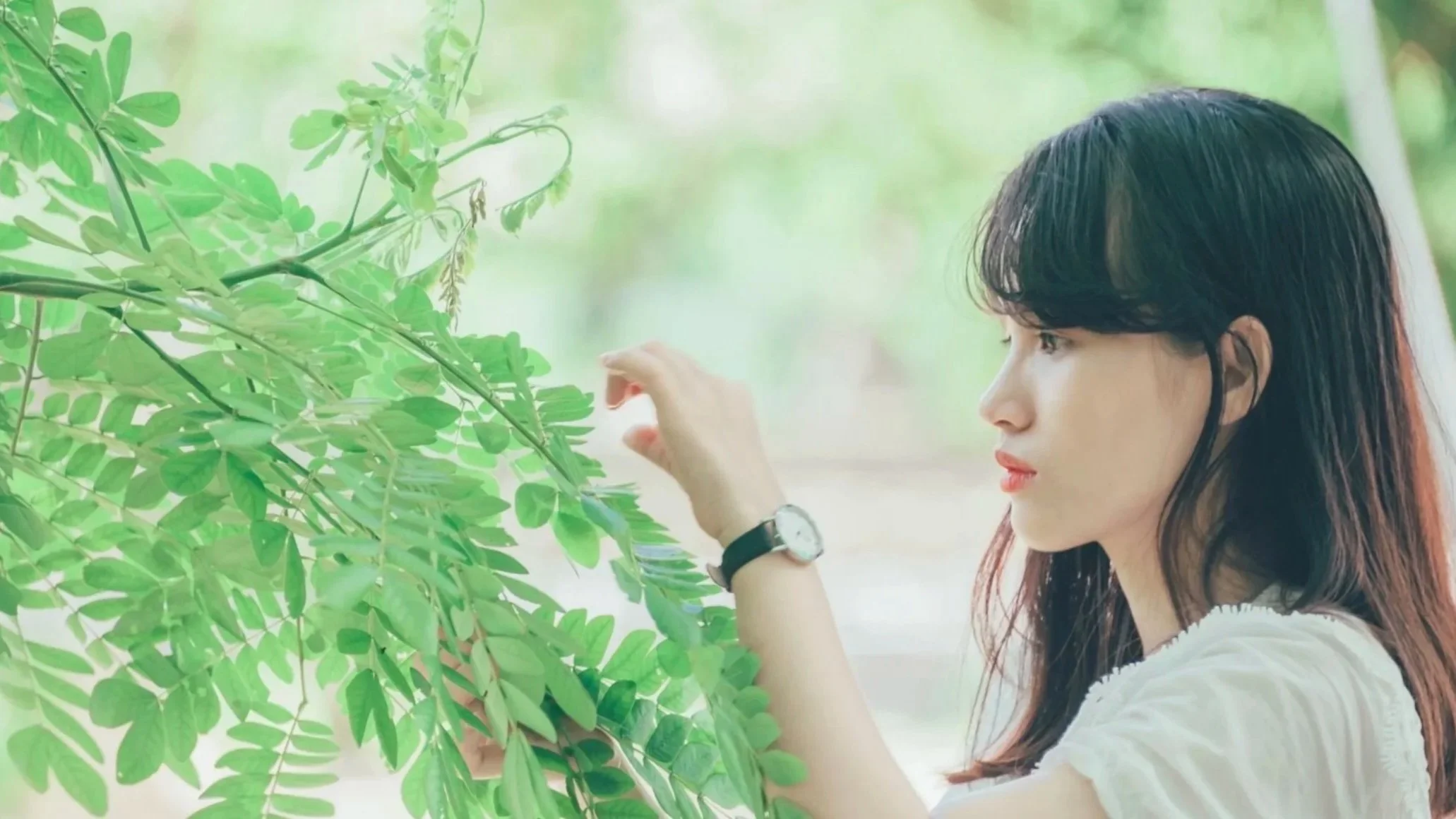 Screenshot 2025-11-14 at 3.52.33 PM copy.jpg