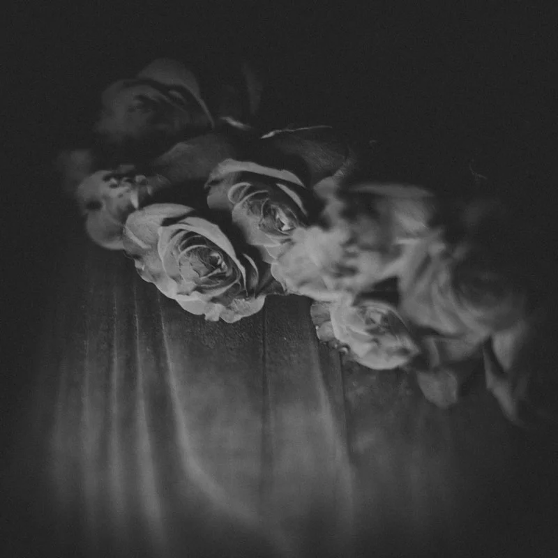 Monica-Galvan-Photography_Roses-are-Red-an-Experiment-in-Dramatic-Lighting_025