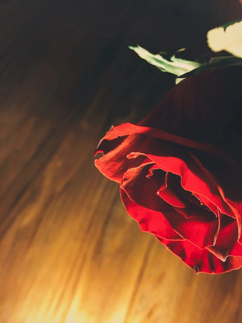 Roses are Red
