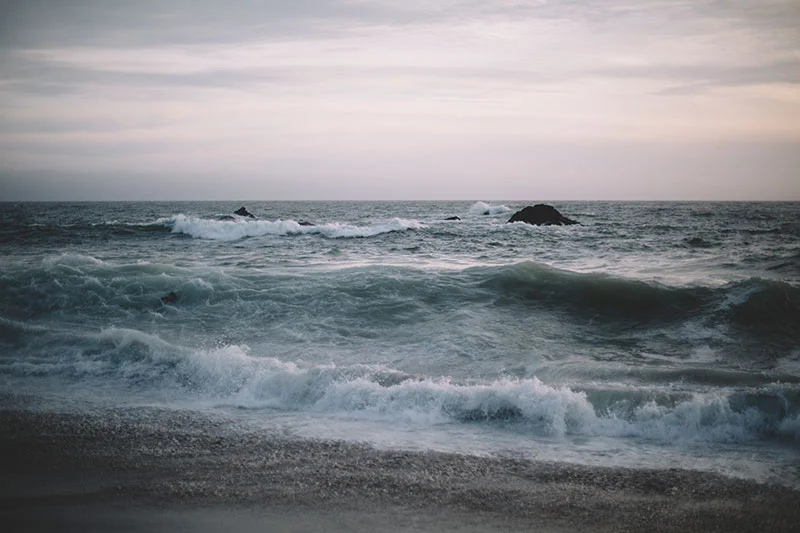 Bodega Bay California