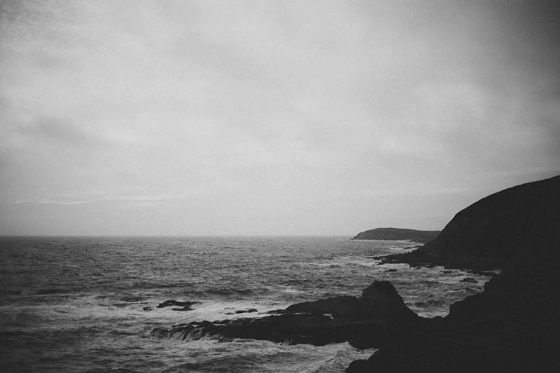 Bodega Bay California