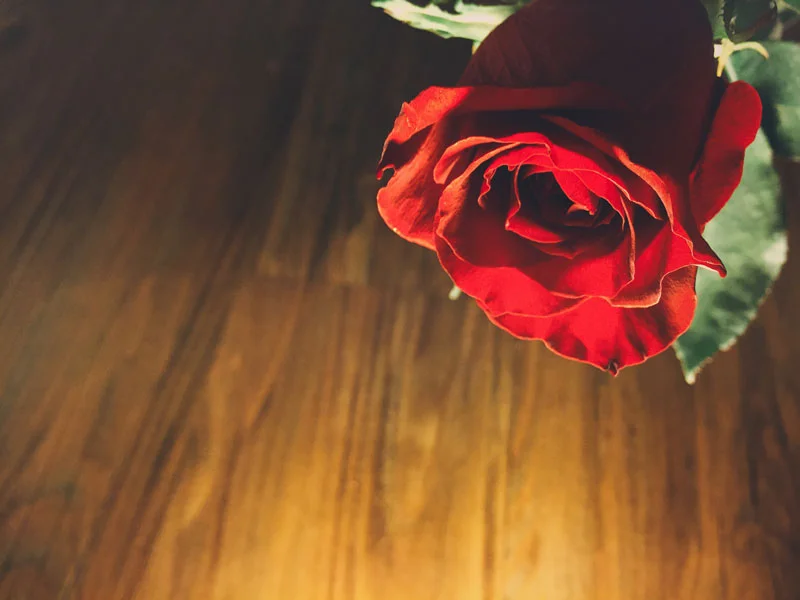 Roses are Red
