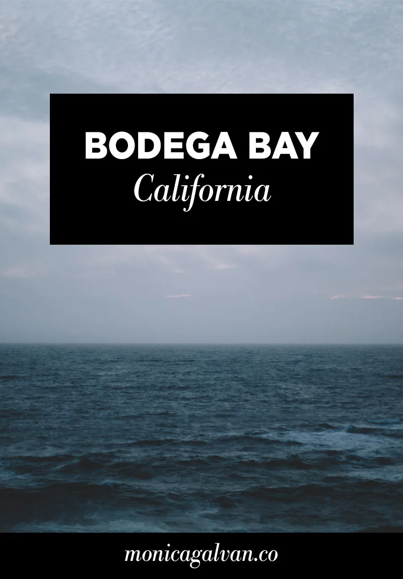 Bodega Bay California photography by Monica Galvan