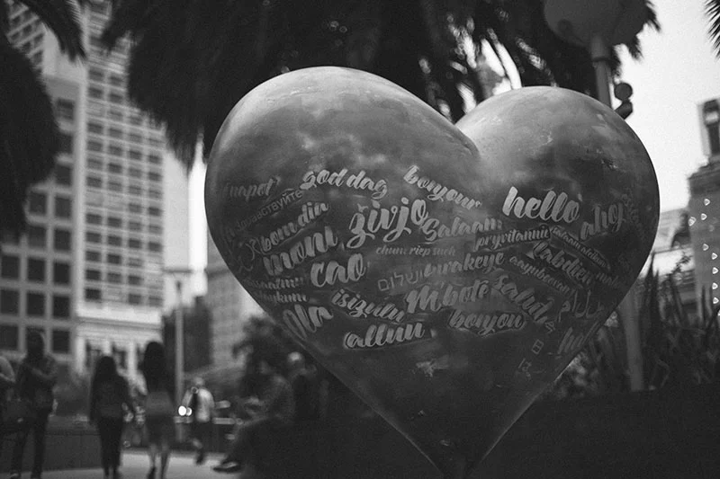 Raw and Unedited: Union Square San Francisco Photography