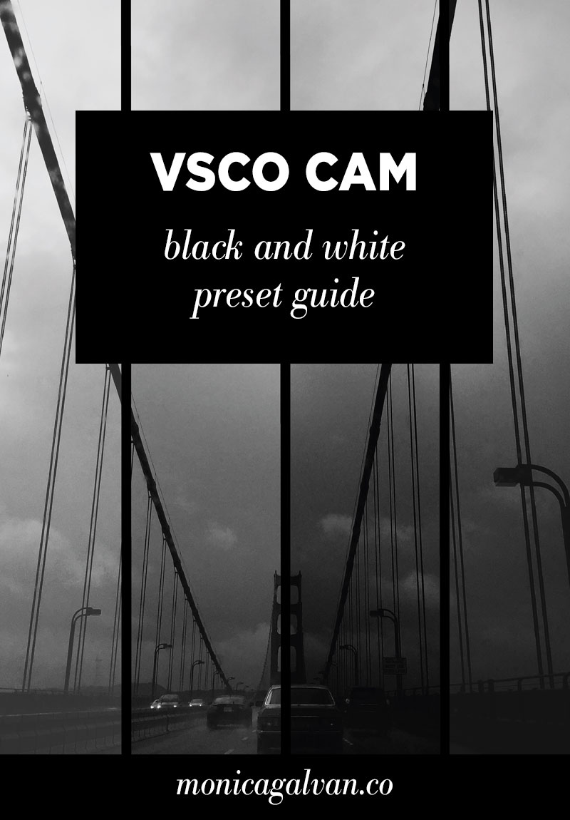 VSCO Cam Black and White Preset Guide