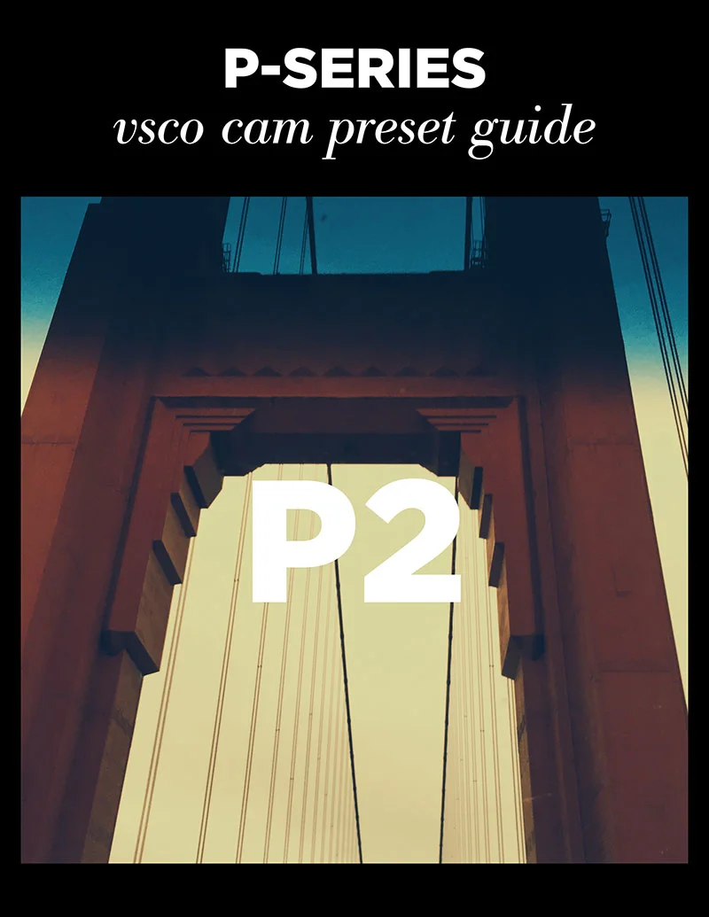 Monica-Galvan_VSCO-Cam-P-Series-Guide_02.jpg
