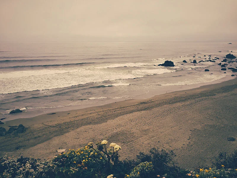 Beach Views: Bodega Bay, California