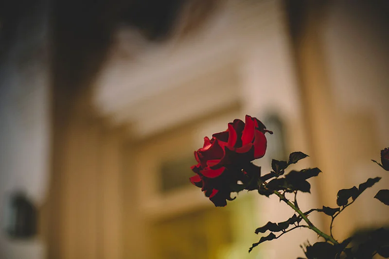 The Exposure Triangle: How to Use it to Create Better Photos with Your DSLR Camera