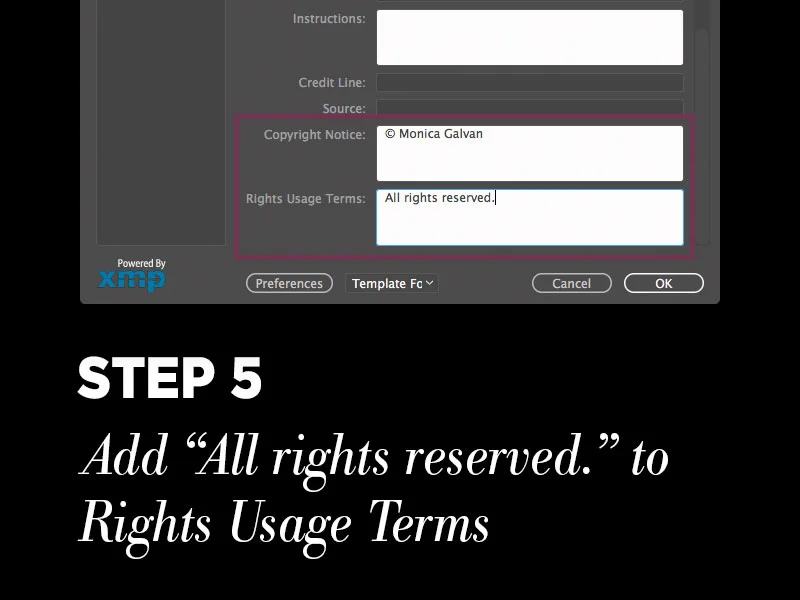 Protect your photos with Photoshop metadata: Step 5 – Add "All Rights Reserved."