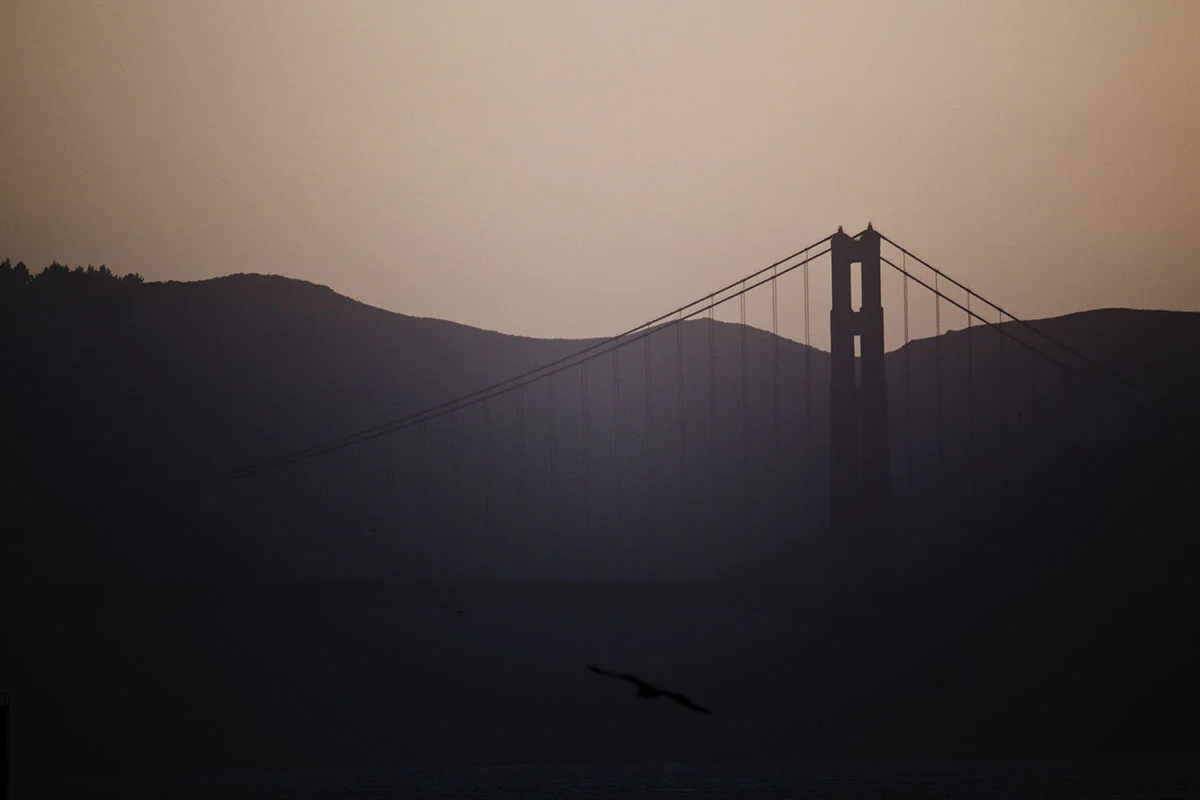 Monica-Galvan_Golden-Gate_Crissy-Fields.jpg