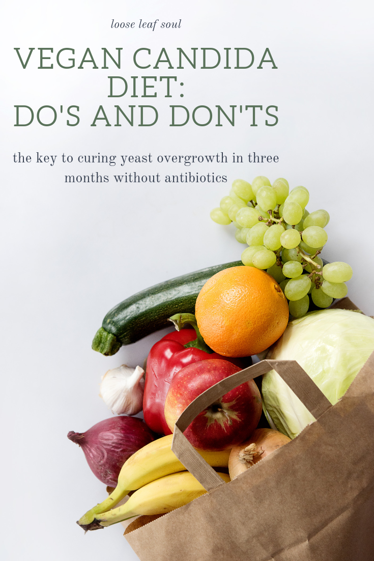 how to heal candida overgrowth the natural + vegan way — loose leaf