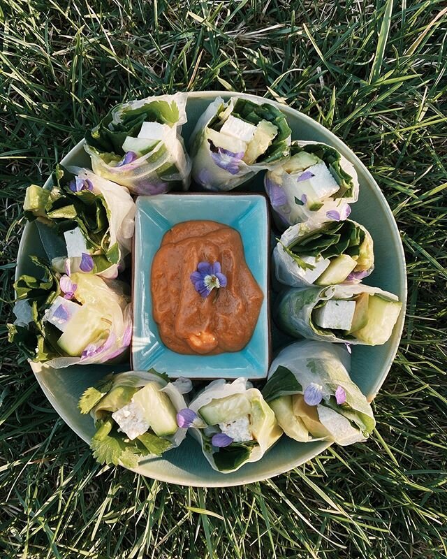 big announcement: i&rsquo;m writing a cookbook!

first off: the picture is violet spring rolls with peanut sauce. they are addictive. 
second: i&rsquo;m writing another cookbook! quarantine has gifted me so much time to create new recipes and i am su