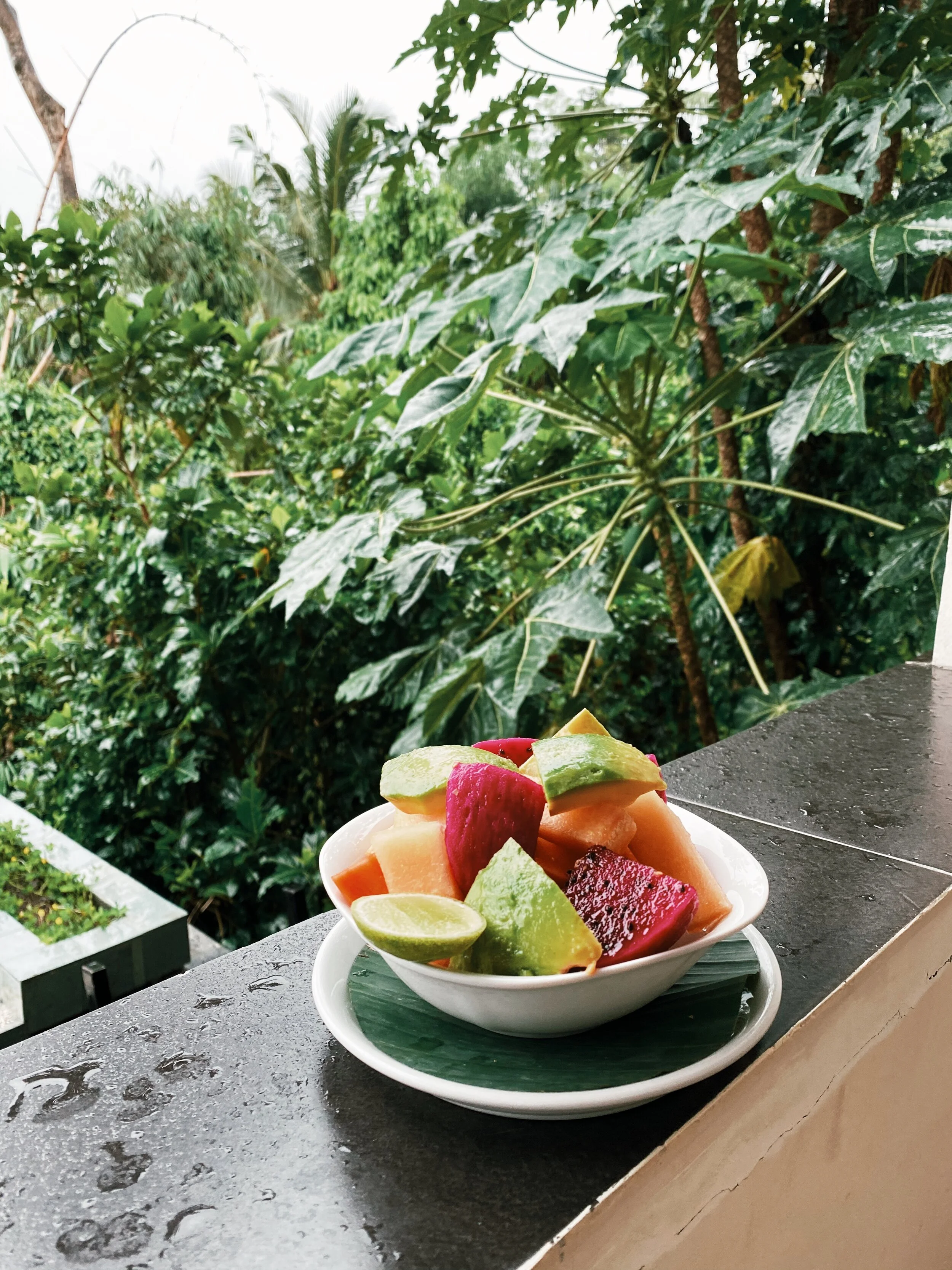 my favorite vegan meals around the world