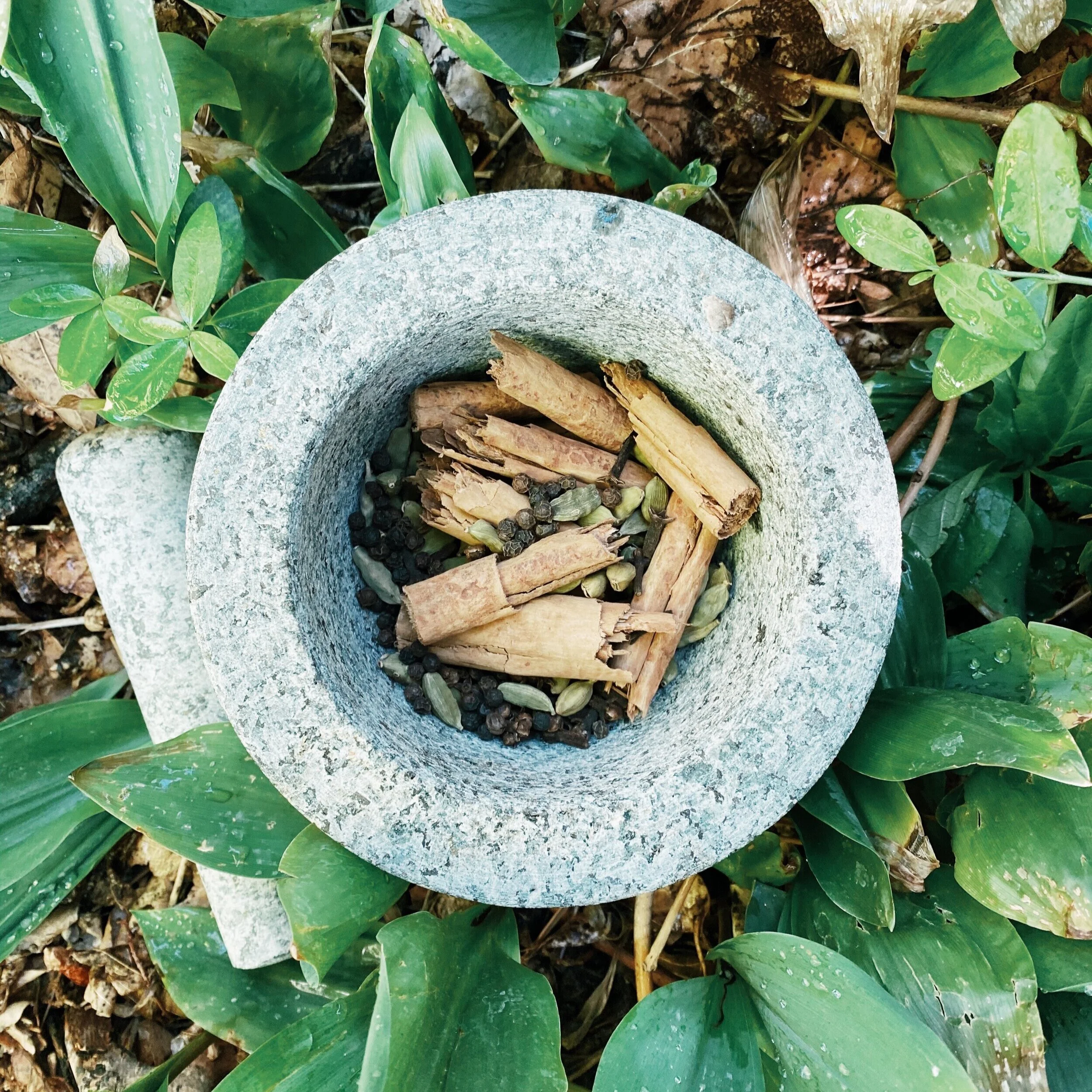 ayurvedic chai: how to make masala chai for your dosha.
