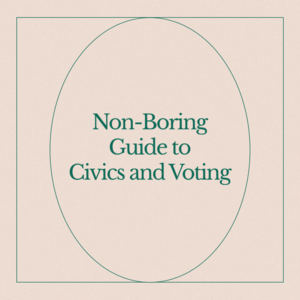 Non-Boring Guide to Civics and Voting