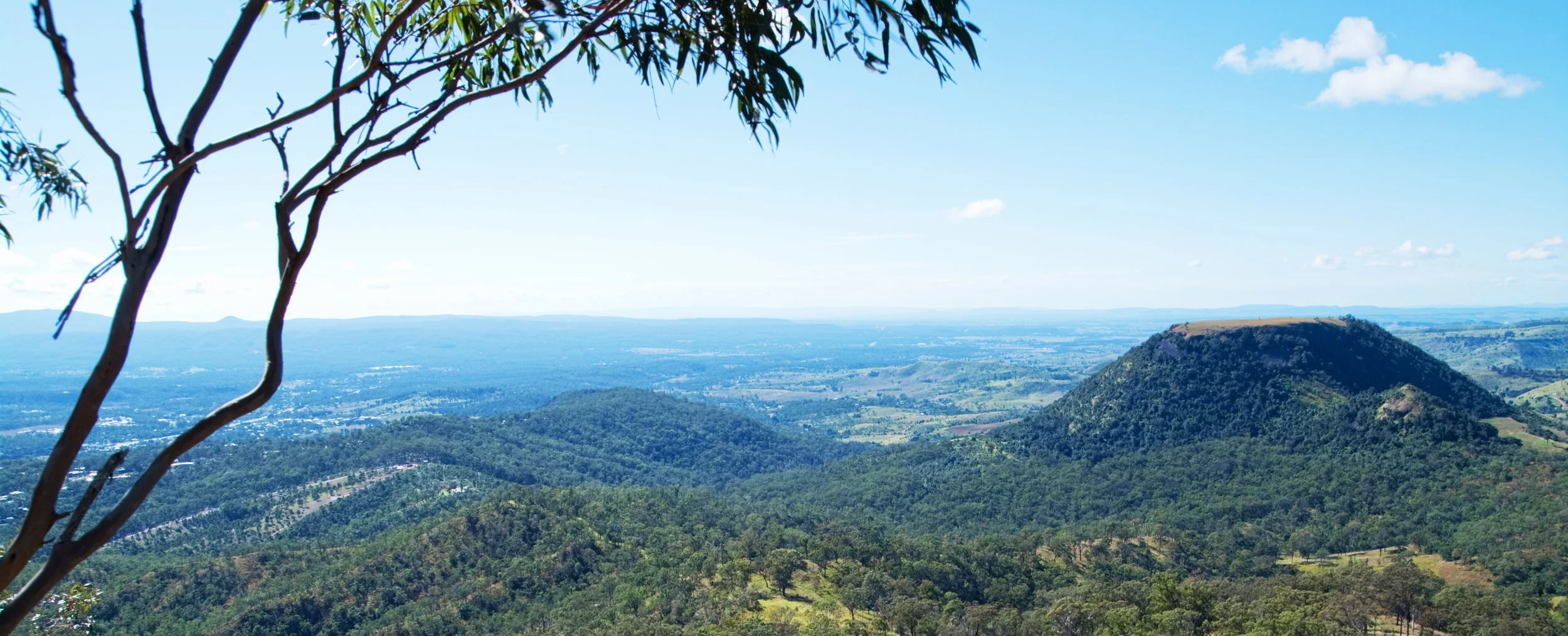 AdobeStock_29496718_ED.jpg