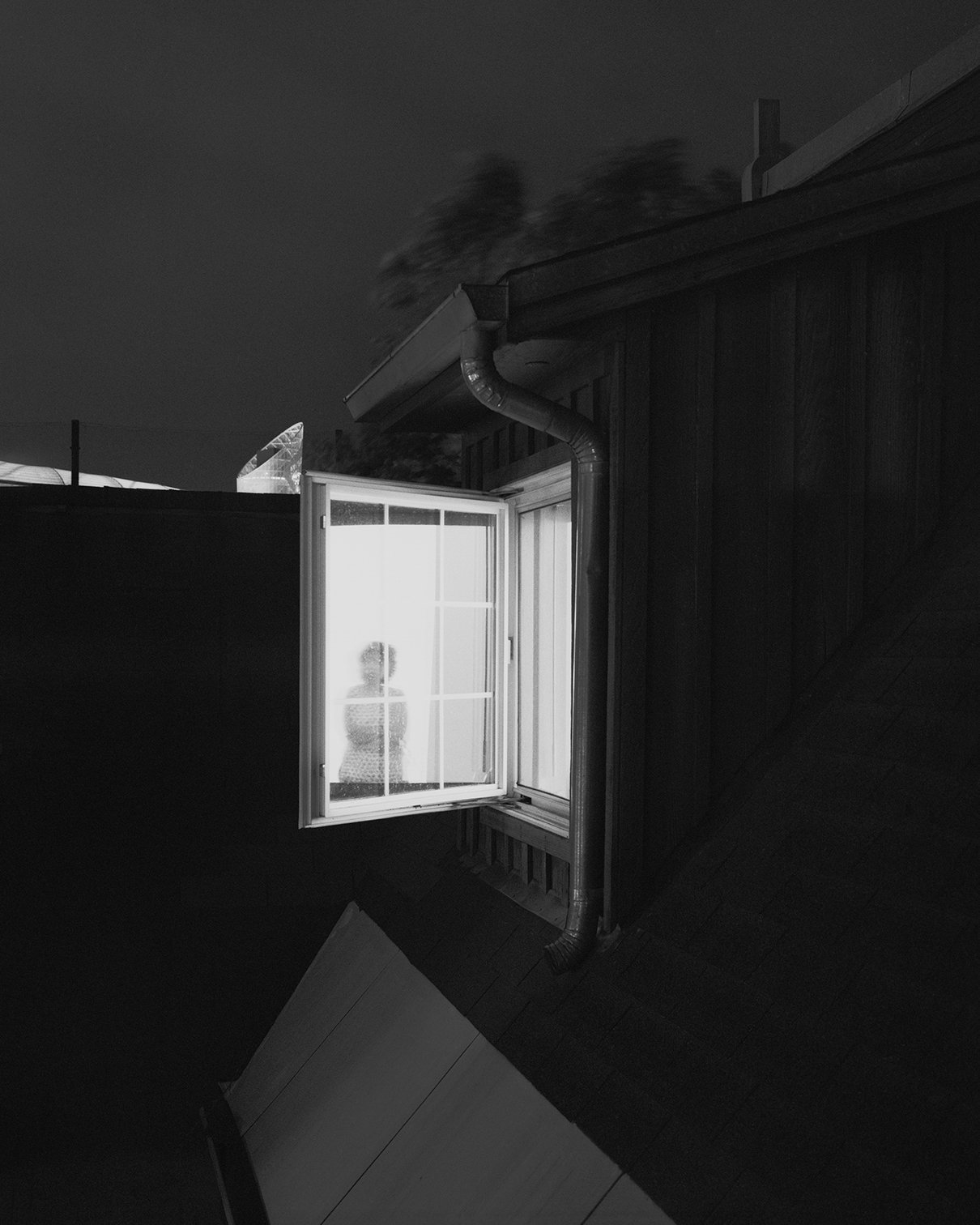 The Visitors (2025)