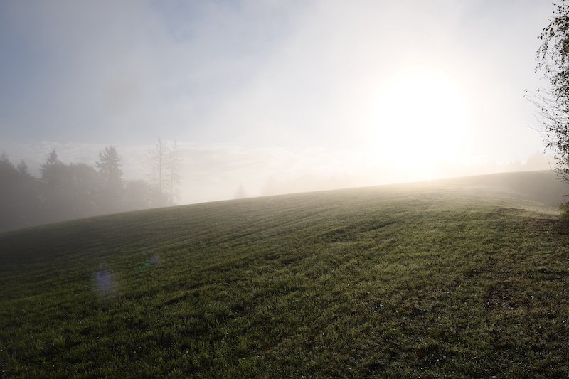 DSC_4109.JPG