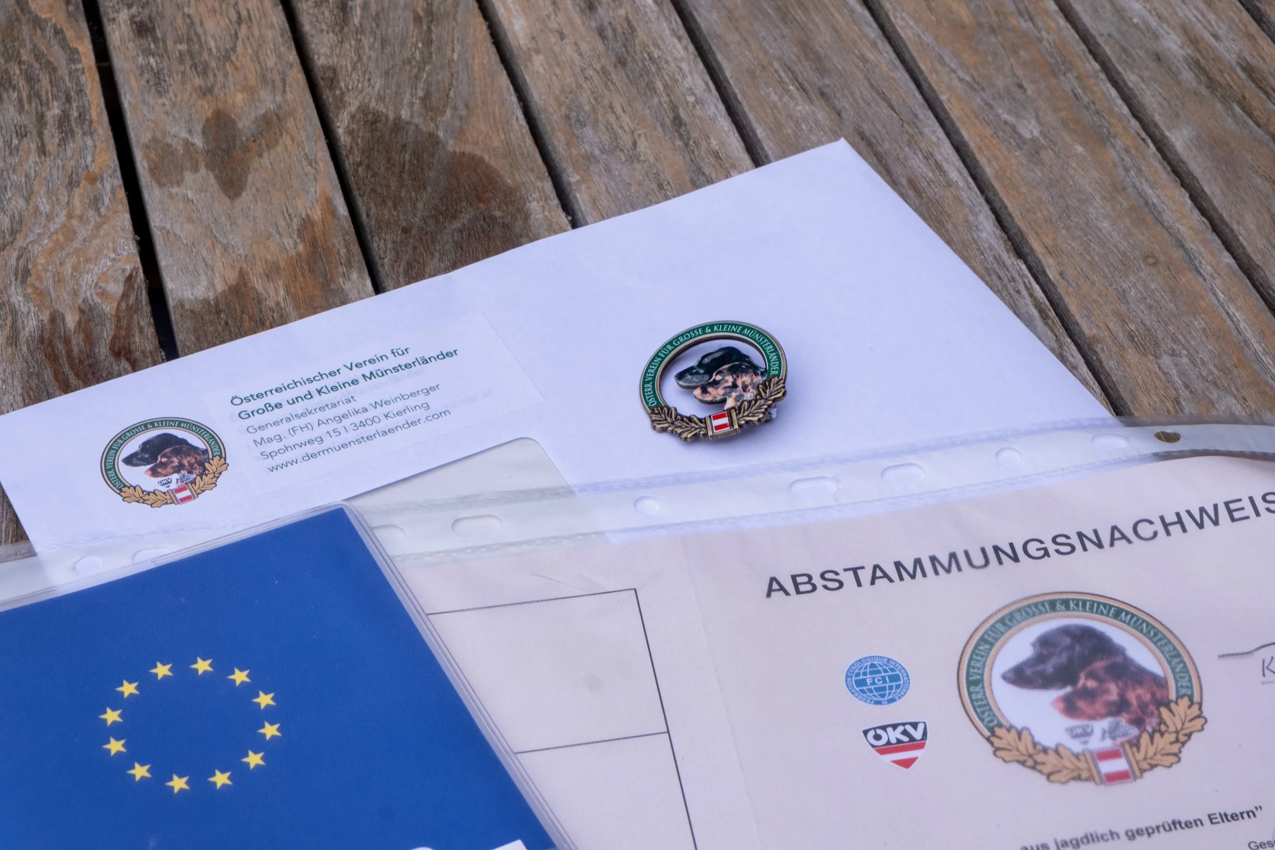 Augen auf beim Welpenkauf