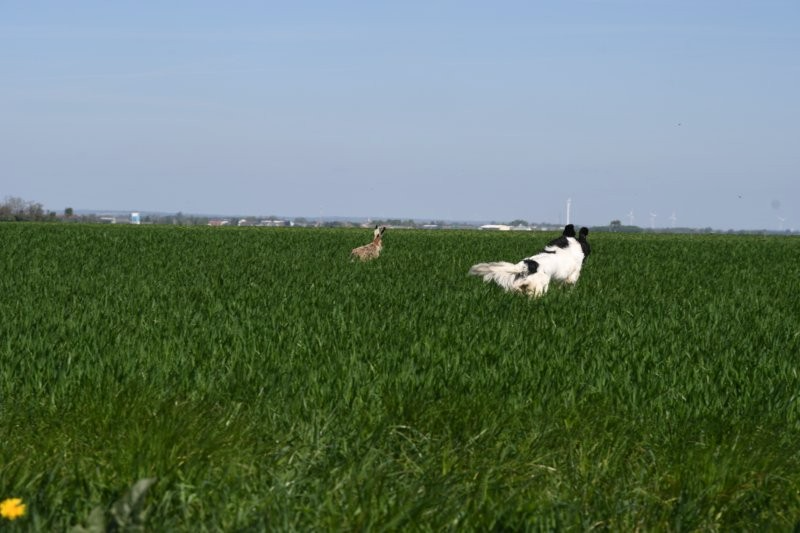 DSC_6946.png