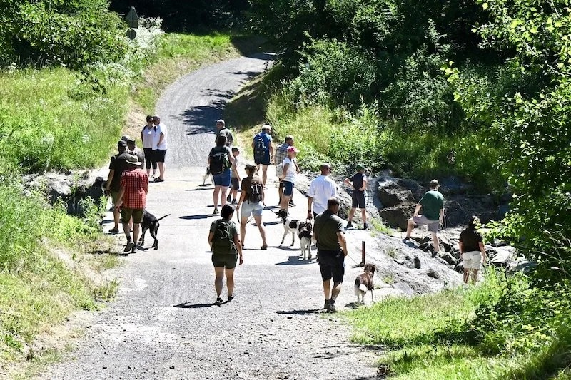 Wandertag Bereich Süd