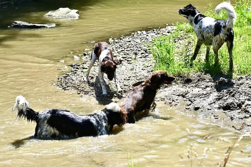 Wandertag_1.JPG