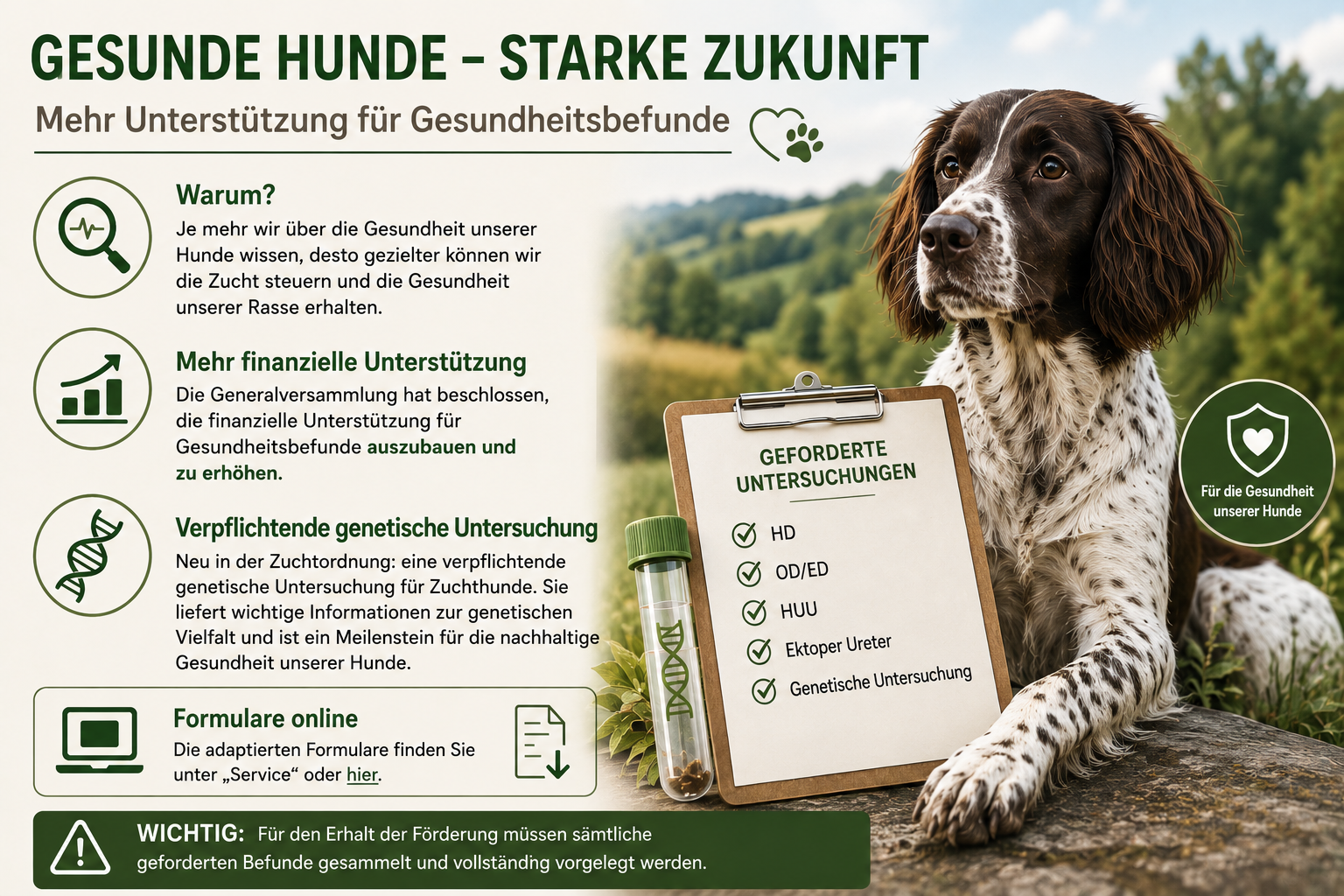 Höhere finanzielle Unterstützung für Gesundheitsbefunde