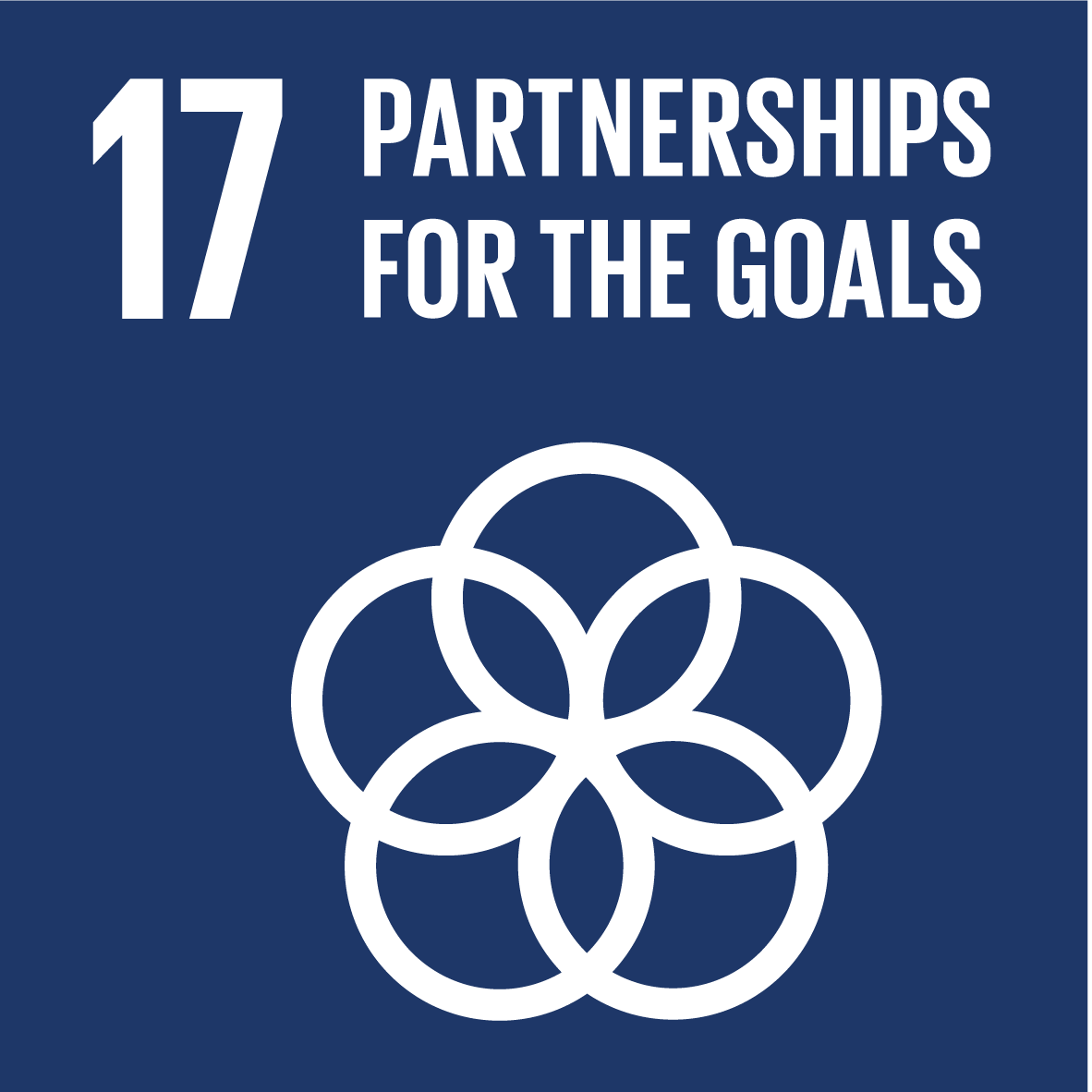 SDG-17.png