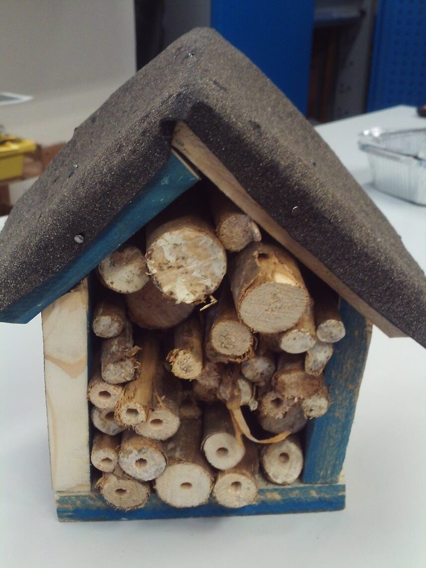 Bug Hotel.jpg