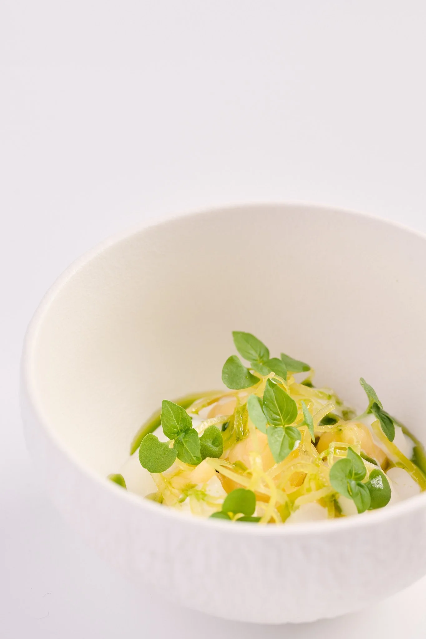 LEMON & BURRATA - SPRING MENU