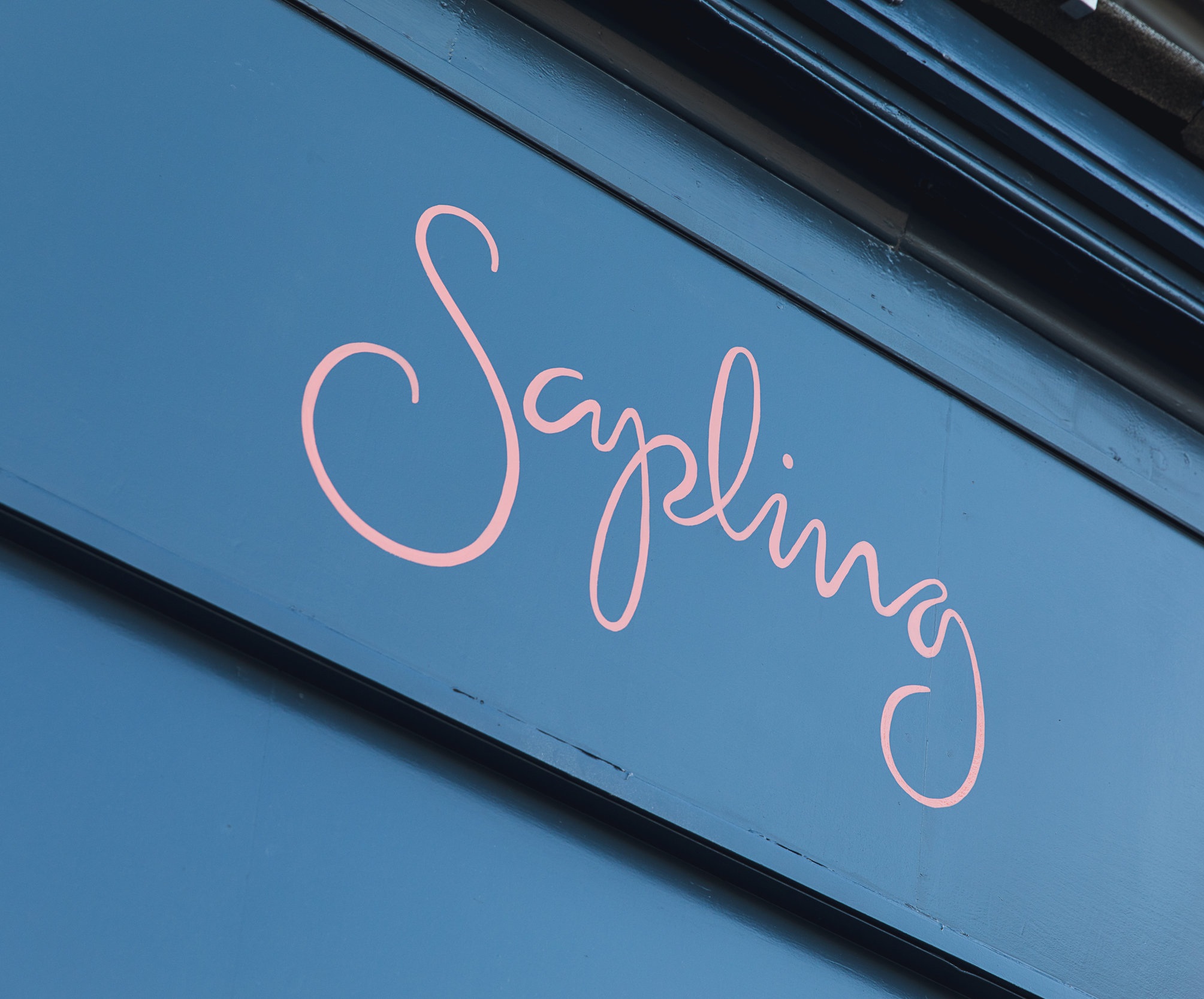 Sapling+-15.jpg