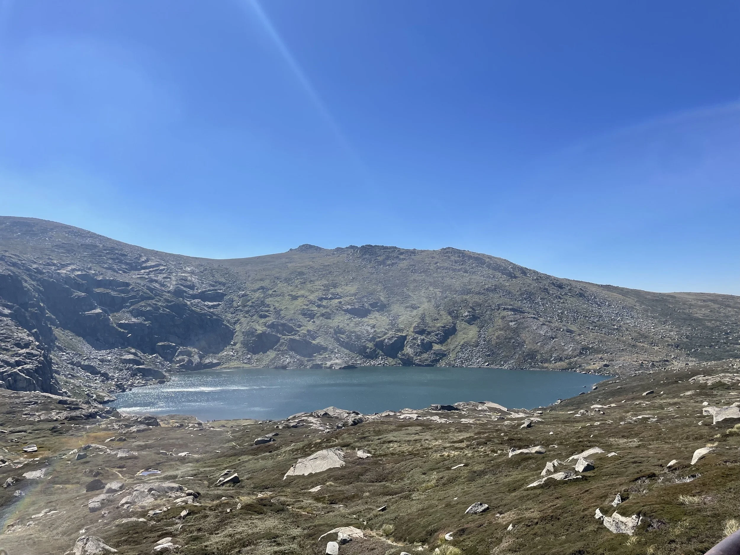 IMG_7299.jpeg