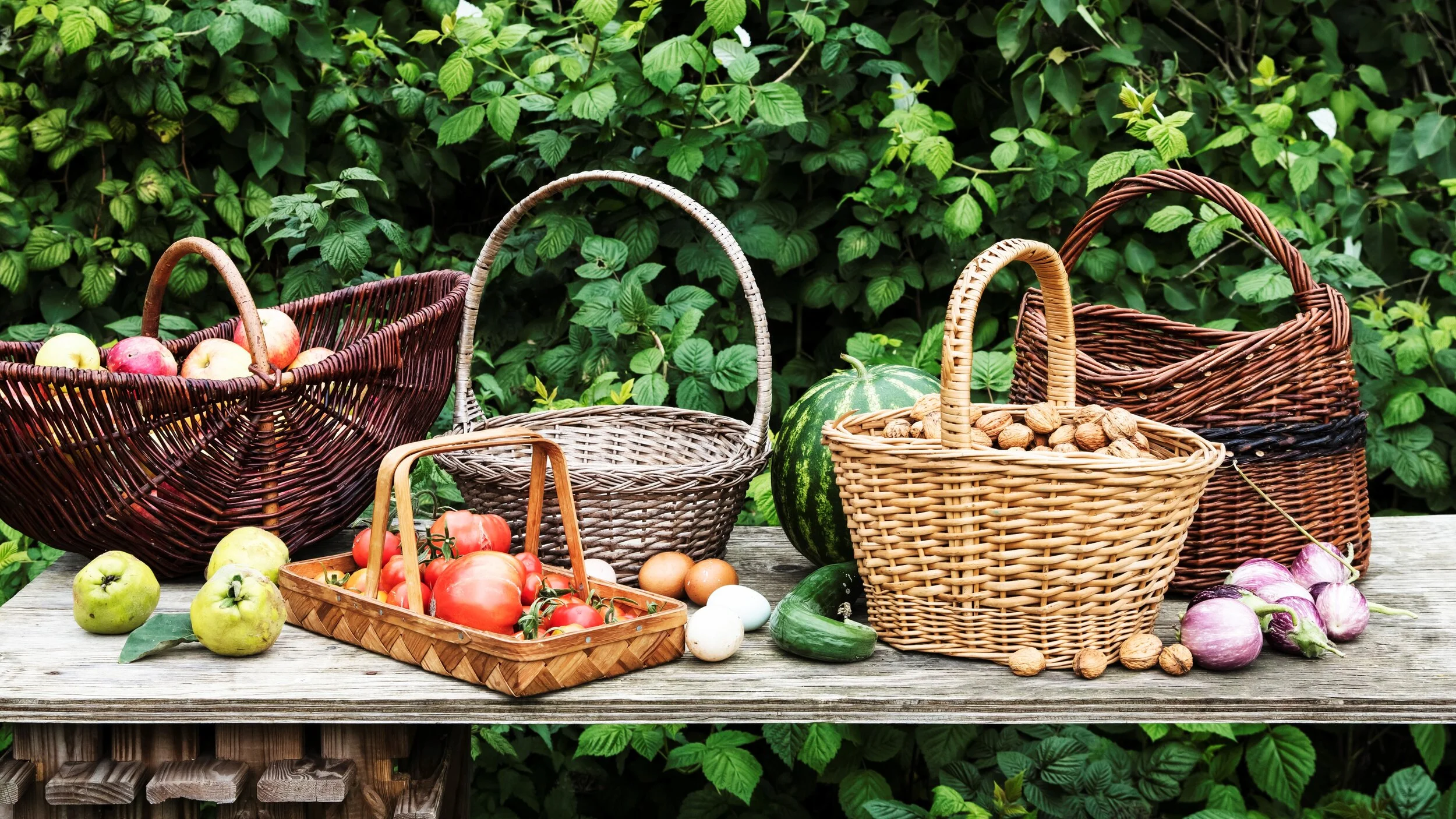 Signes selvforsyningshave_11 (2).jpg