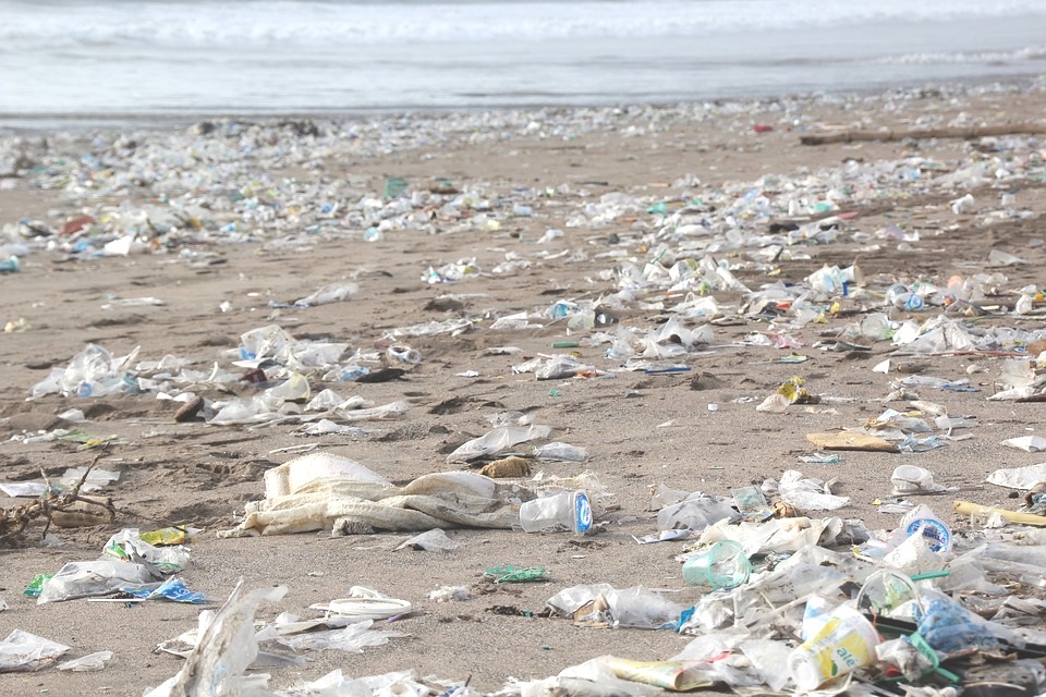 PLASTIC+POLLUTION.jpg