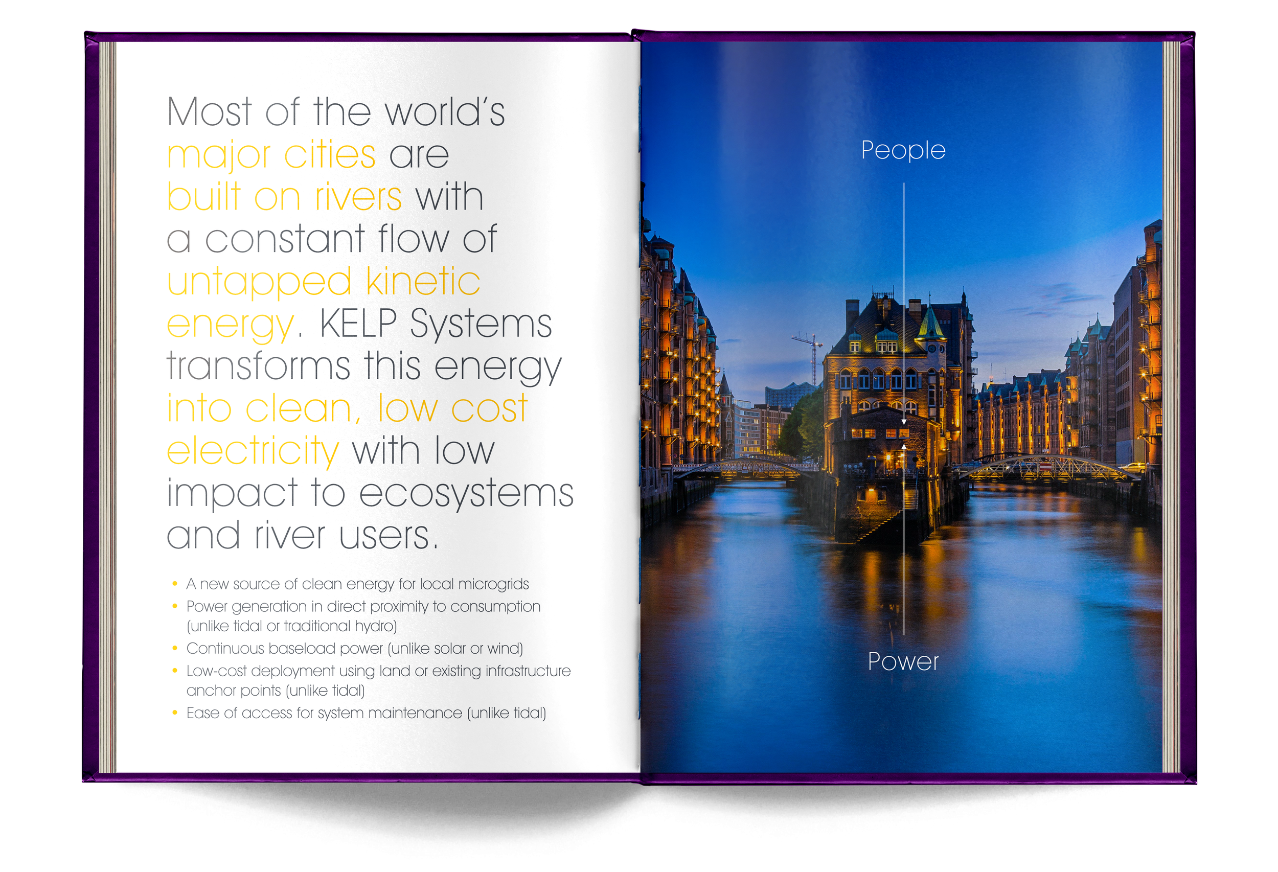 Ready---_0026_Kelp-2.png