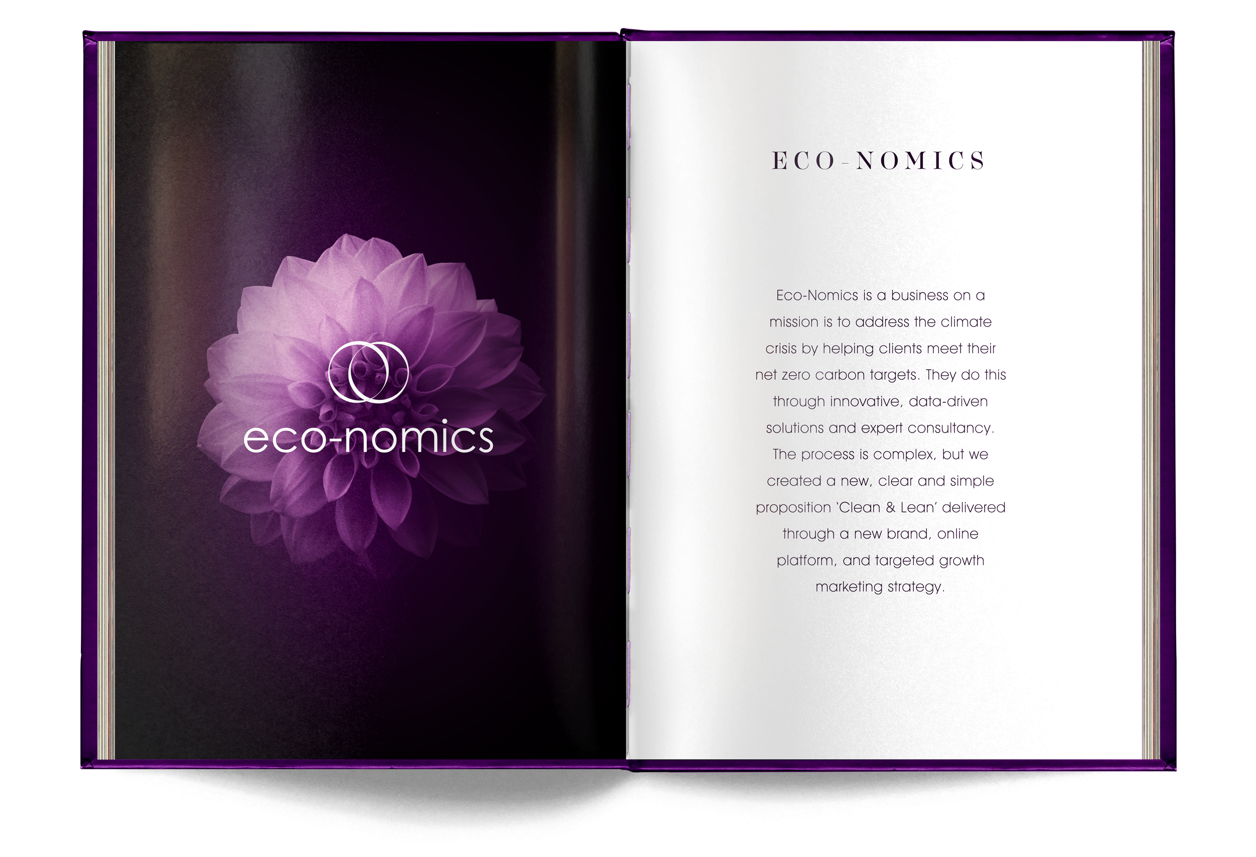 Ready---_0047_Eco-Nomics-intro.png