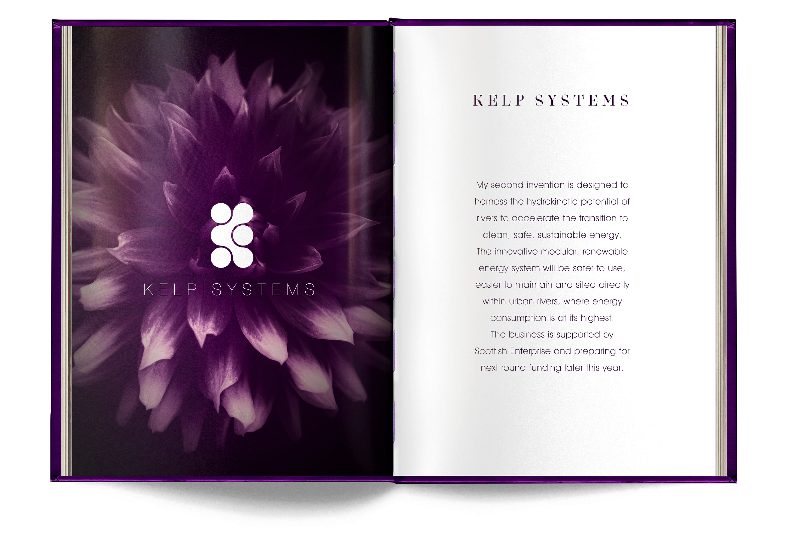 Ready---_0021_Kelp-intro.png