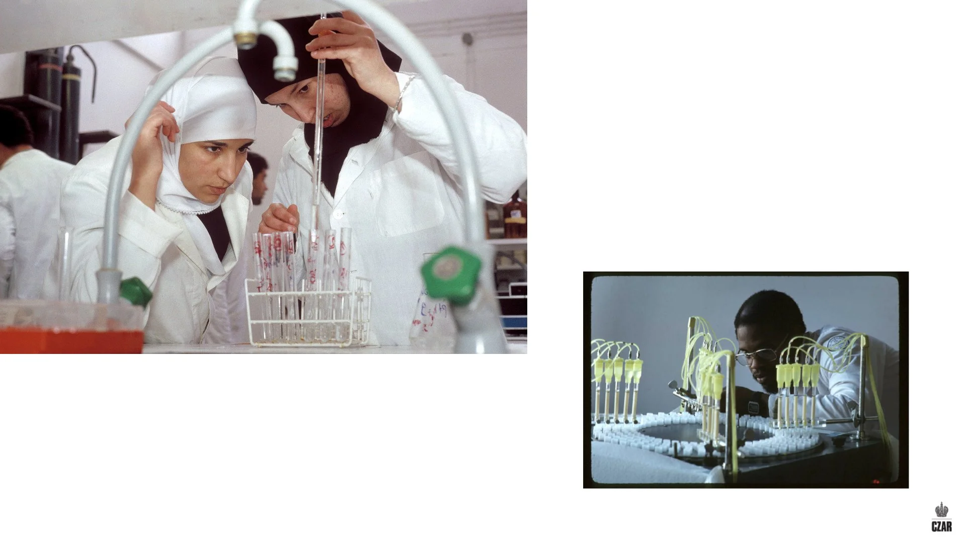 6-PHARMA.006.jpeg