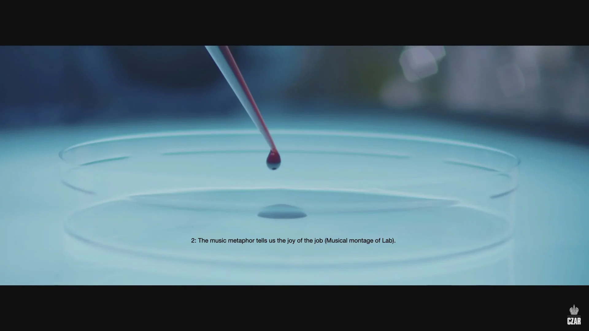 6-PHARMA.007.jpeg