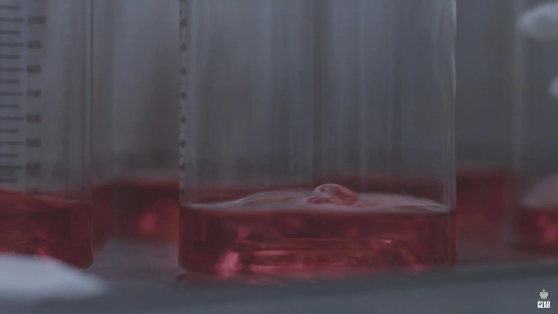 6-PHARMA.019.jpeg