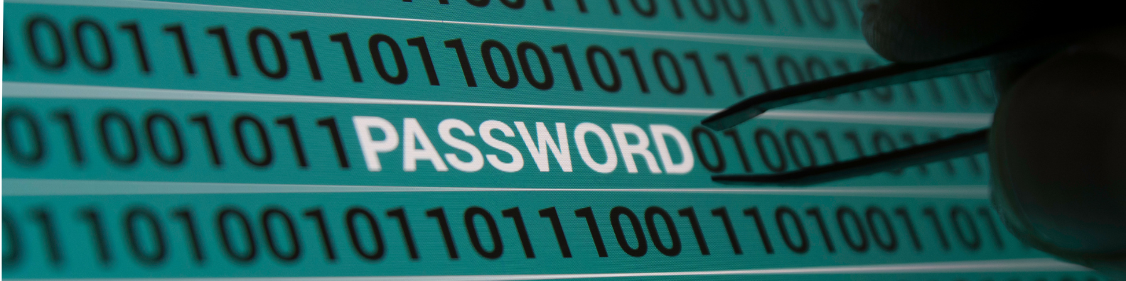 Passwordless Future is here! 