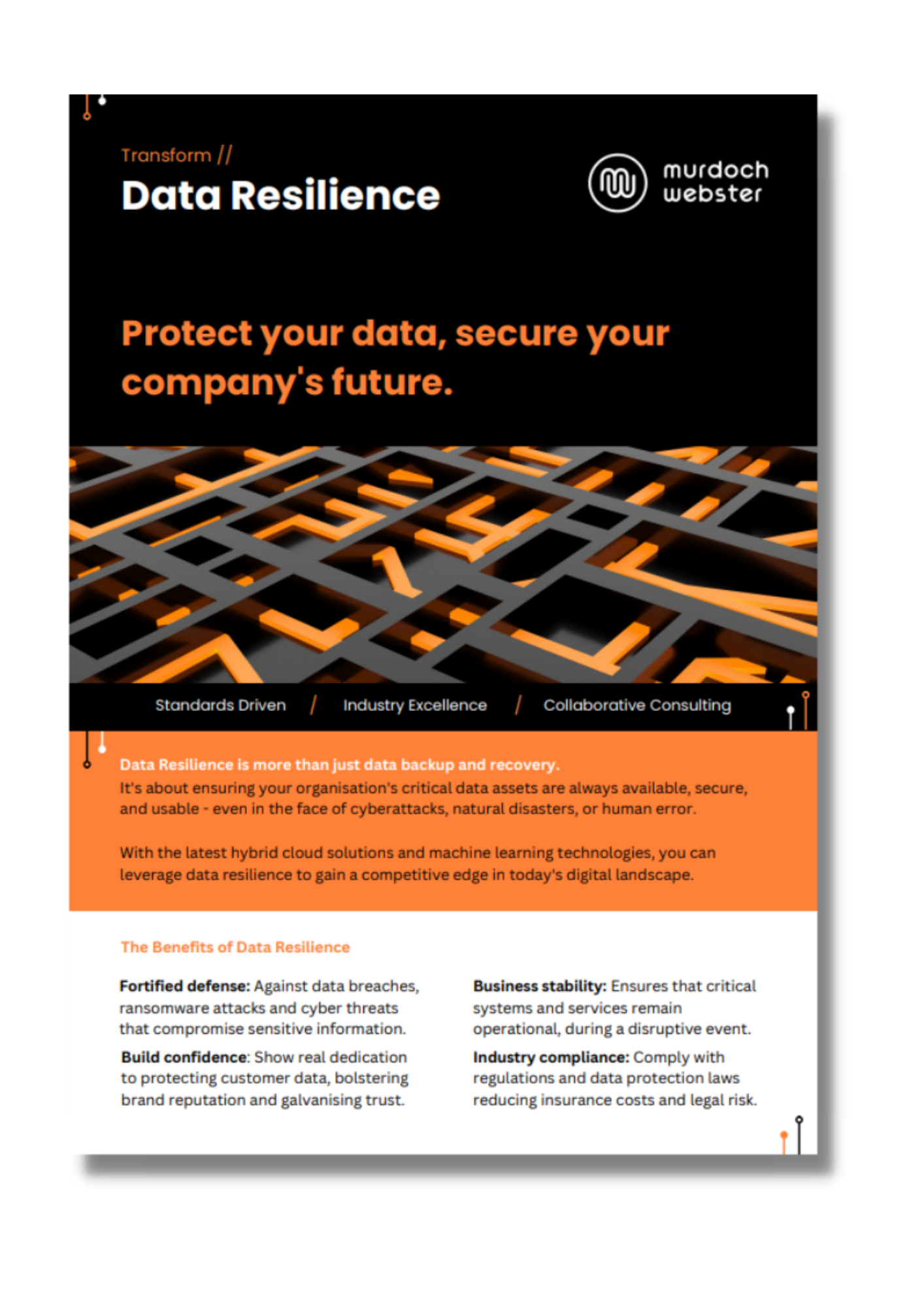  Data Resilience 