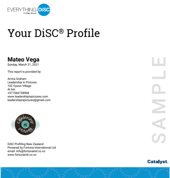 DiSC profile sample.PNG